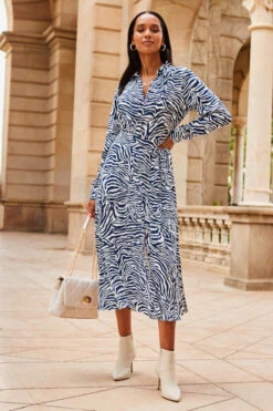 Blue & White Zebra Print Midi Shirt Dress