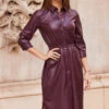 Burgundy Shirred Waist Popper Front Shirt Dress