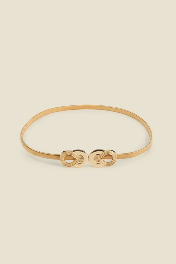 Gold Round Link Waist Belt - Image 2